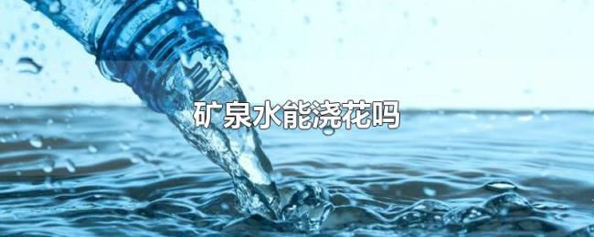 矿泉水能浇花吗 矿泉水能浇花吗