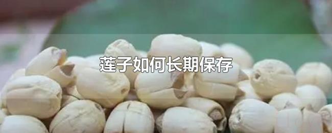 莲子如何长期保存 莲子如何长期保存
