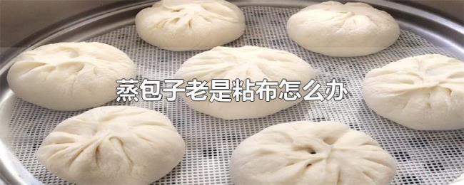 蒸包子老是粘布怎么办 蒸包子老是粘布怎么办