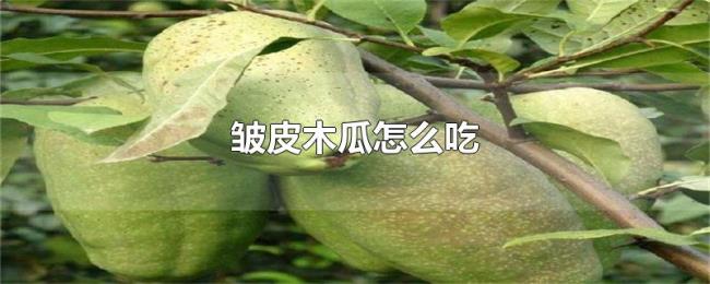 皱皮木瓜怎么吃 皱皮木瓜怎么吃