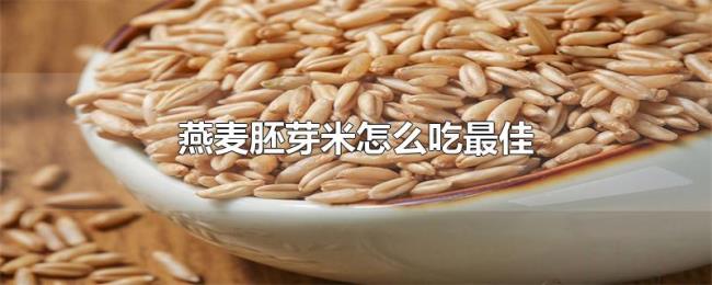 燕麦胚芽米怎么吃最佳 燕麦胚芽米怎么吃最佳