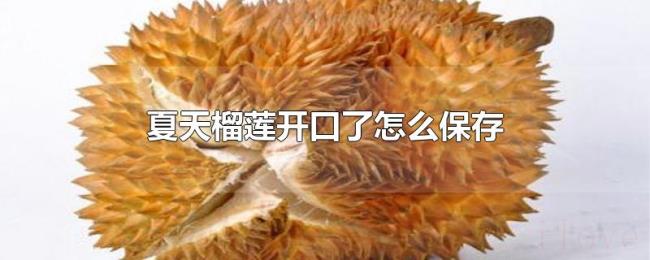 夏天榴莲开口了怎么保存 夏天榴莲开口了怎么保存