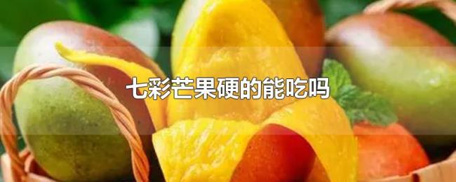 七彩芒果硬的能吃吗 七彩芒果硬的能吃吗