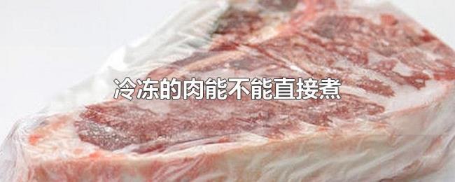 冷冻的肉能不能直接煮 冷冻的肉能不能直接煮