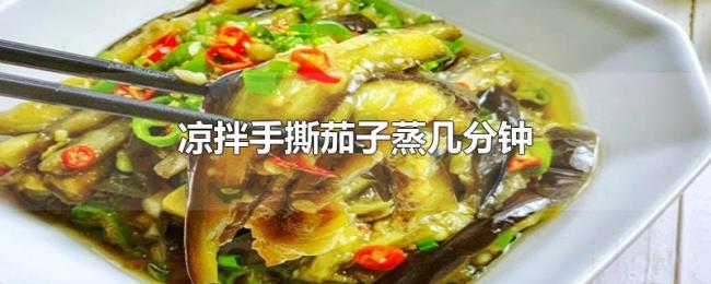 凉拌手撕茄子蒸几分钟 凉拌手撕茄子蒸几分钟
