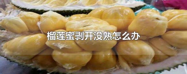 榴莲蜜剥开没熟怎么办 榴莲蜜剥开没熟怎么办