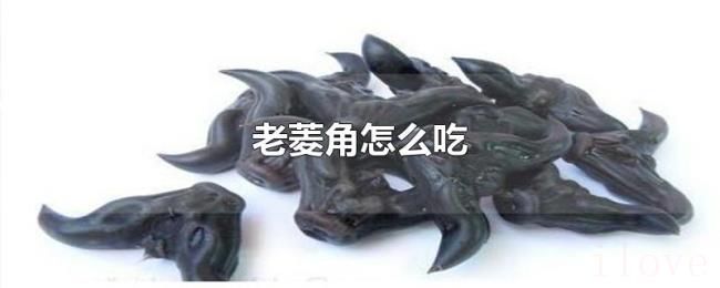 老菱角怎么吃 老菱角怎么吃
