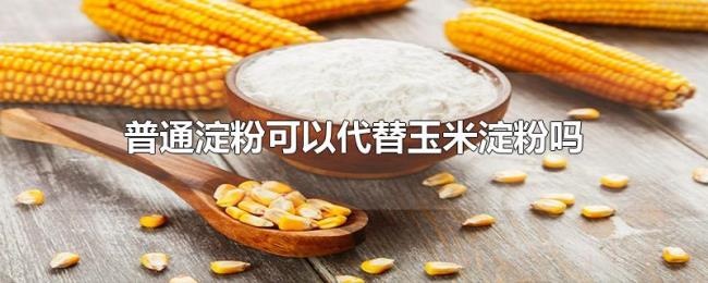 普通淀粉可以代替玉米淀粉吗 普通淀粉可以代替玉米淀粉吗