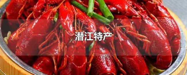 潜江特产 潜江特产