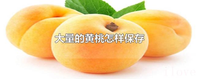 大量的黄桃怎样保存 大量的黄桃怎样保存