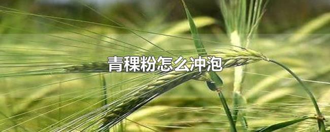 青稞粉怎么冲泡 青稞粉怎么冲泡