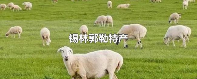 锡林郭勒特产 锡林郭勒特产