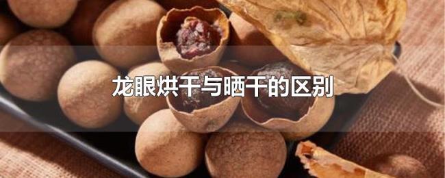 龙眼烘干与晒干的区别 龙眼烘干与晒干的区别