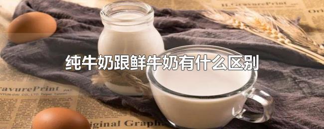 纯牛奶跟鲜牛奶有什么区别 纯牛奶跟鲜牛奶有什么区别