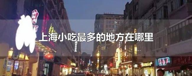上海小吃最多的地方在哪里 上海小吃最多的地方在哪里