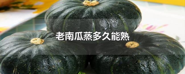 老南瓜蒸多久能熟 老南瓜蒸多久能熟