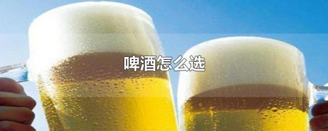 啤酒怎么选 啤酒怎么选