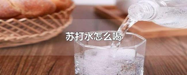 苏打水怎么喝 苏打水怎么喝