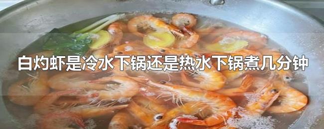 白灼虾是冷水下锅还是热水下锅煮几分钟 白灼虾是冷水下锅还是热水下锅煮几分钟