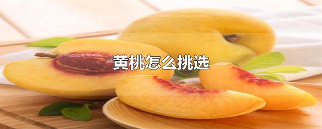 黄桃怎么挑选 黄桃怎么挑选