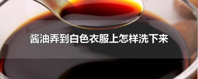 酱油弄到白色衣服上怎样洗下来 酱油弄到白色衣服上怎样洗下来