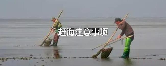 赶海注意事项 赶海注意事项