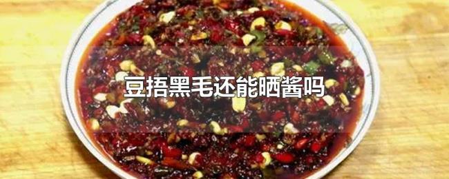 豆捂黑毛还能晒酱吗 豆捂黑毛还能晒酱吗