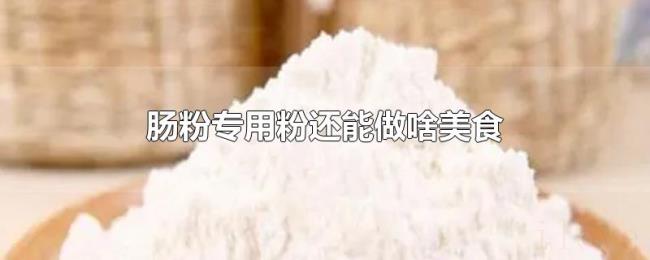 肠粉专用粉还能做啥美食 肠粉专用粉还能做啥美食