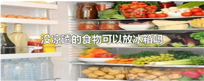 没凉透的食物可以放冰箱吗