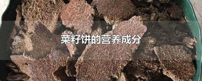 菜籽饼的营养成分 菜籽饼的营养成分
