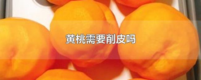 黄桃需要削皮吗 黄桃需要削皮吗