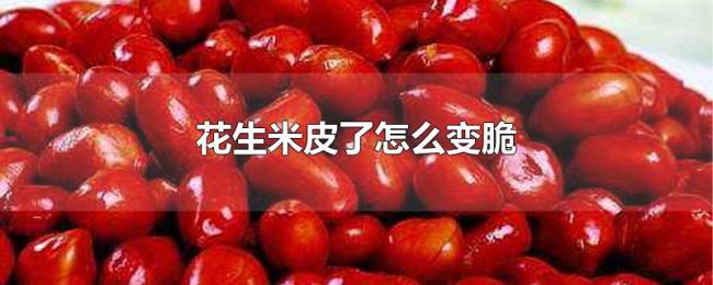 花生米皮了怎么变脆 花生米皮了怎么变脆