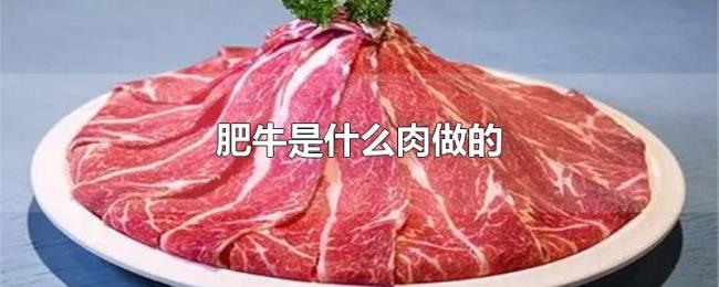肥牛是什么肉做的