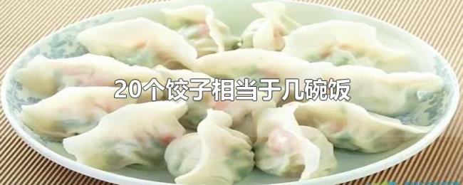 20个饺子相当于几碗饭