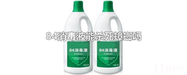 84消毒液能杀死蟑螂吗