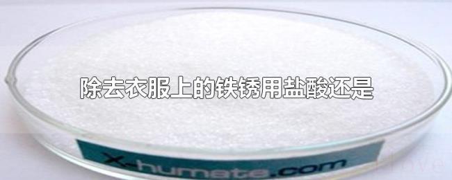 除去衣服上的铁锈用盐酸还是草酸 除去衣服上的铁锈用盐酸还是草酸