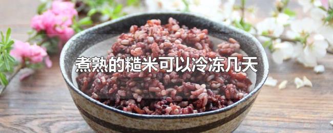 煮熟的糙米可以冷冻几天 煮熟的糙米可以冷冻几天