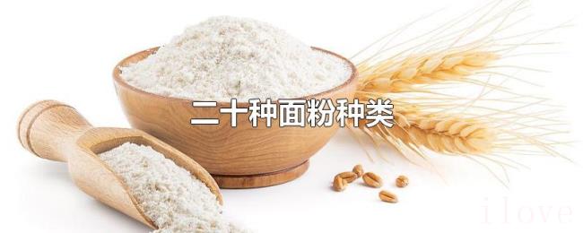 二十种面粉种类 二十种面粉种类