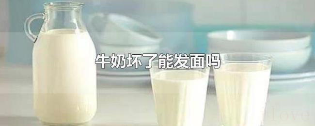 牛奶坏了能发面吗