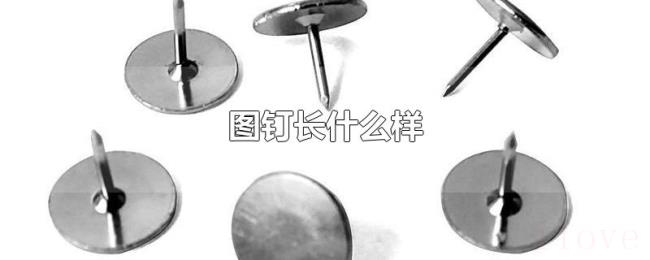 图钉长什么样 图钉长什么样