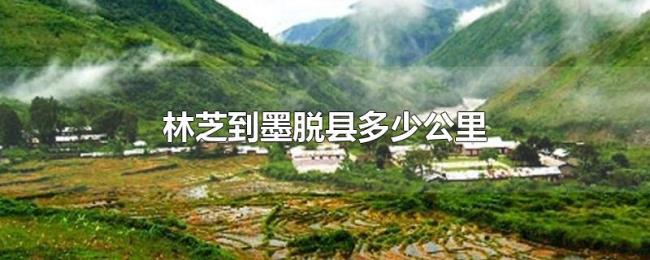林芝到墨脱县多少公里