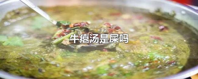 牛瘪汤是屎吗 牛瘪汤是屎吗