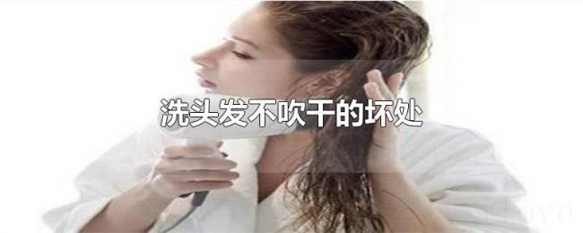 洗头发不吹干的坏处