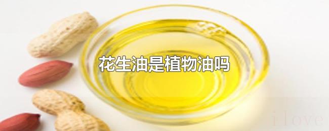 花生油是植物油吗 花生油是植物油吗