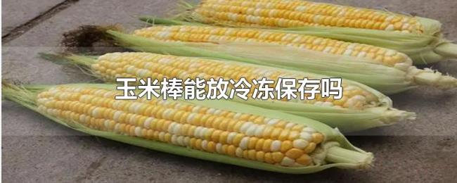 玉米棒能放冷冻保存吗