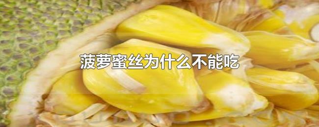 菠萝蜜丝为什么不能吃 菠萝蜜丝为什么不能吃