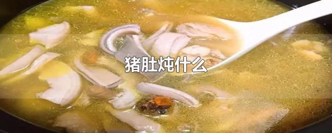 猪肚炖什么 猪肚炖什么