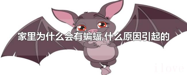 家里为什么会有蝙蝠,什么原因引起的