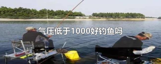 气压低于1000好钓鱼吗