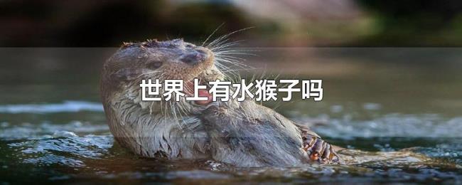 世界上有水猴子吗 世界上有水猴子吗